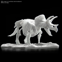 Bandai Dinosaur Limex Skeleton Triceratops Plastic Model Kit