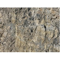 Noch N Wrinkle Rocks"Grossvenediger"45x25.5cm