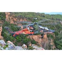 Revell 1/72 Eurocopter Tiger - "15 Years Tiger" 03839 Plastic Model Kit