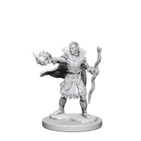 Pathfinder Deep Cuts Unpainted Miniatures Elf Male Sorcerer