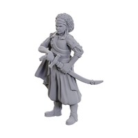 Dungeons & Dragons Nolzur's Marvelous Miniatures: Ansalon Human Rogue