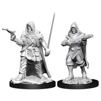 Pathfinder Deep Cuts Unpainted Miniatures Human Male Rogue