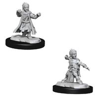 Pathfinder Deep Cuts Unpainted Miniatures Halfing Monk Male