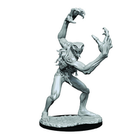 Critical Role Unpainted Miniatures Aeorian Nullifier