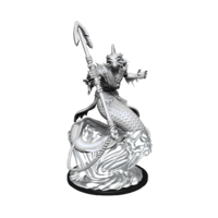 Critical Role Unpainted Miniatures Shallowpriest (2)