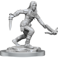 Dungeons & Dragons Nolzurs Marvelous Unpainted Miniatures Half-Elf Rogue Female