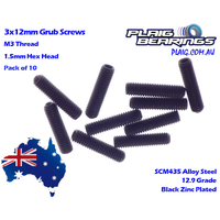 Plaig Bearings M3x12 Grub Screws
