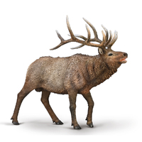 Collecta Wapiti (Elk) (XL)