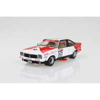 DDA 1/24 A9X Torana 308 Bathurst Winner 1979  Fully Detailed Opening Doors, and Boot Diecast Model