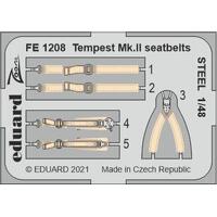 Eduard FE1208 1/48 Tempest Mk.II seatbelts STEEL Zoom set