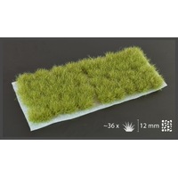 Gamers Grass Dry Green XL 12mm