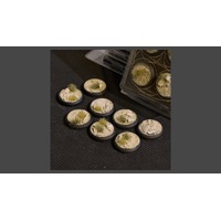 Gamers Grass: Bases: Arid Steppe Bases (RoundLip 30mm (x8))