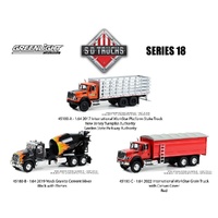 Greenlight 1/64 S.D Trucks Series 18 Diecast Model