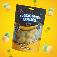 Freeze Dried Lollies - Pineapple 40g