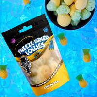 Freeze Dried Lollies - Pineapple Mini Pack 20g