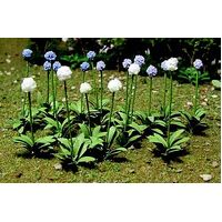 JTT HO Allium Gigateum (30pk)