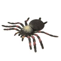 Stretchy Tarantula