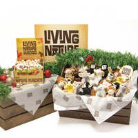 Living Nature Display Crate Raw