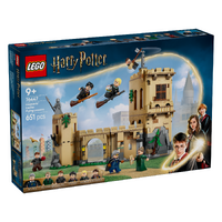 LEGO Harry Potter Hogwarts Castle: Flying Lessons 76447