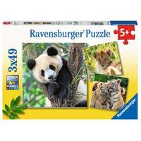 Ravensburger 3x49pc Panda  Lion and Tiger Jigsaw Puzzle