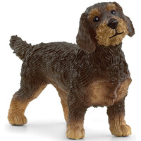 Schleich - Wire-Haired Dachshund