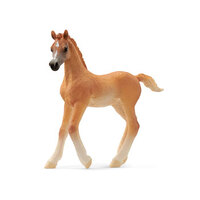 Schleich - Arab Foal