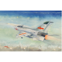 Trumpeter 1/48 JJ-7 Trainer  Plastic Model Kit