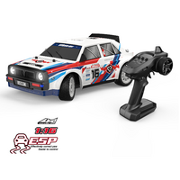 UDI 1/16 2.4G RTR 4WD Rally Car