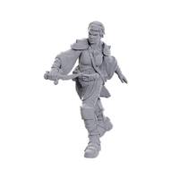 D&D Nolzur's Marvelous Miniatures: Swashbuckler